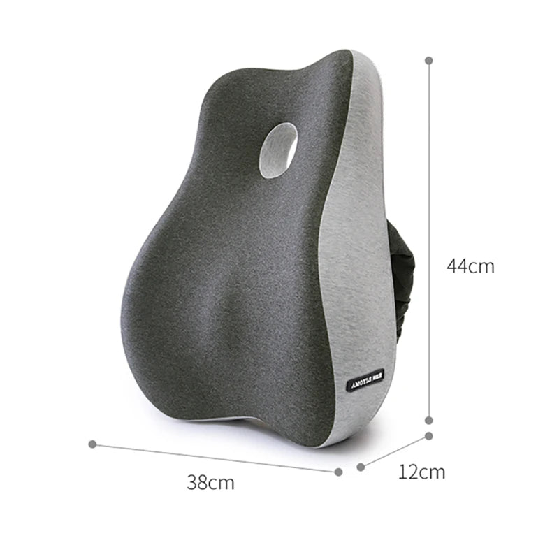 Coussin cale dos ergonomique dimension